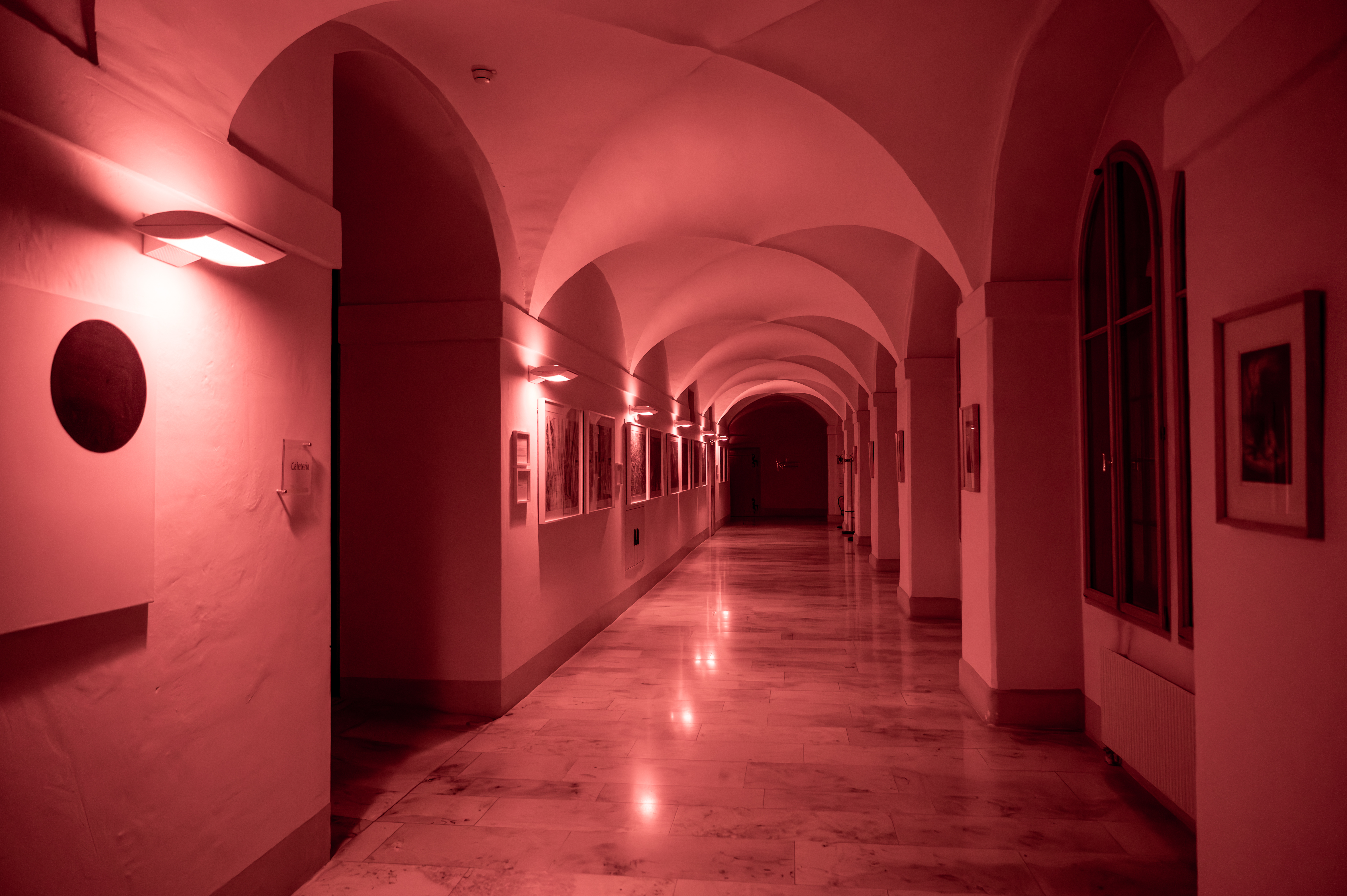 Foto Christian Brunnthaler