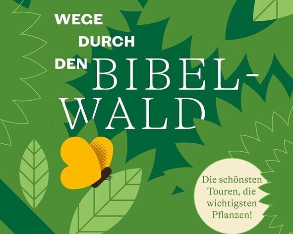 Wiener Dom-Verlag
